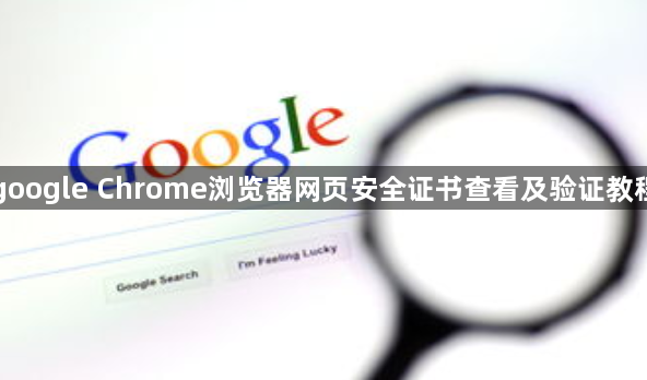 google Chrome浏览器网页安全证书查看及验证教程1