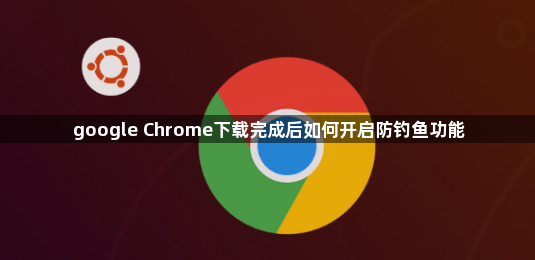 google Chrome下载完成后如何开启防钓鱼功能1