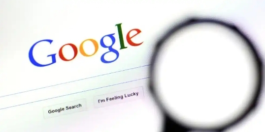 google Chrome浏览器官方下载包使用技巧