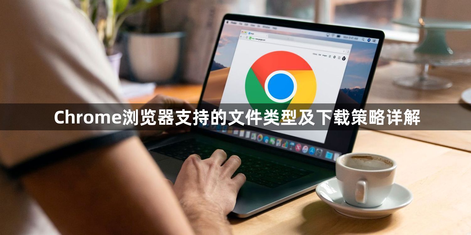 Chrome浏览器支持的文件类型及下载策略详解1