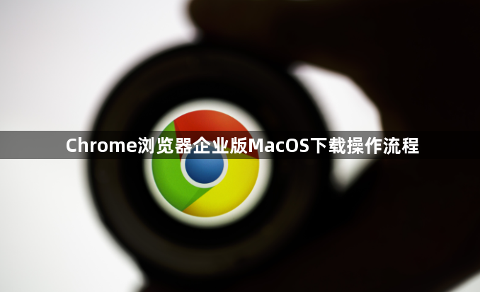 Chrome浏览器企业版MacOS下载操作流程1