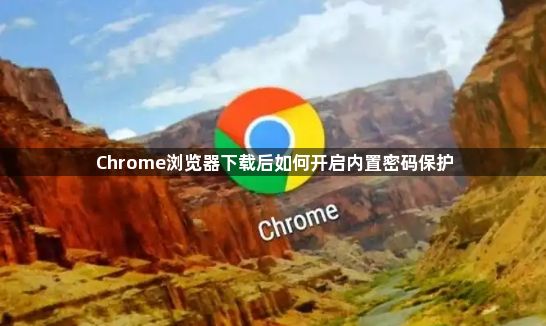 Chrome浏览器下载后如何开启内置密码保护1