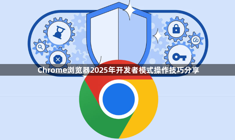 Chrome浏览器2025年开发者模式操作技巧分享1