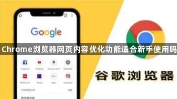 Chrome浏览器网页内容优化功能适合新手使用吗1