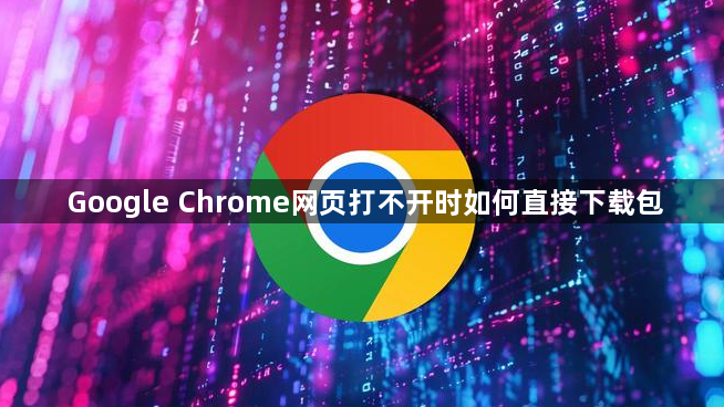 Google Chrome网页打不开时如何直接下载包1