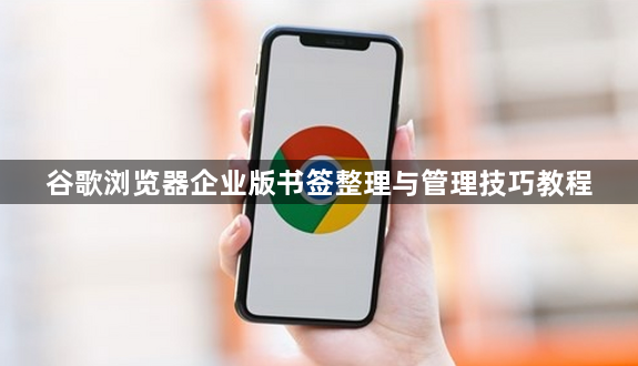 谷歌浏览器企业版书签整理与管理技巧教程1